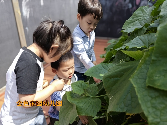 d73355a3078c18e7b1d8b38a6a476c2.jpg